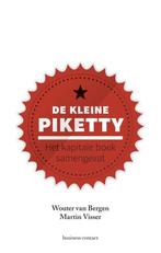 De kleine Piketty 9789047008323 Martin Visser, Verzenden, Zo goed als nieuw, Martin Visser