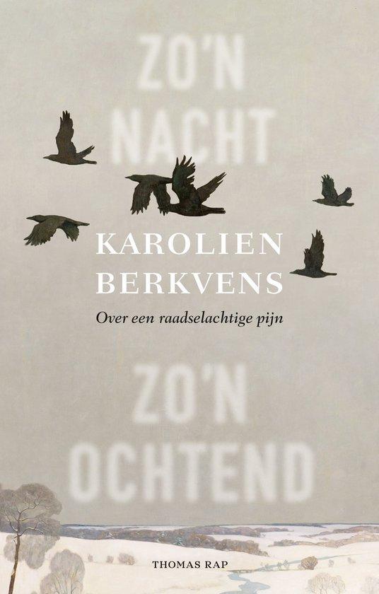 Zo’n nacht, zo’n ochtend 9789400412262 Karolien Berkvens, Boeken, Romans, Gelezen, Verzenden