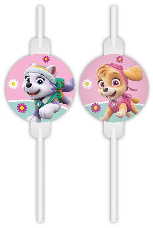 Paw Patrol Rietjes Skye And Everest 4st, Hobby & Loisirs créatifs, Articles de fête, Envoi