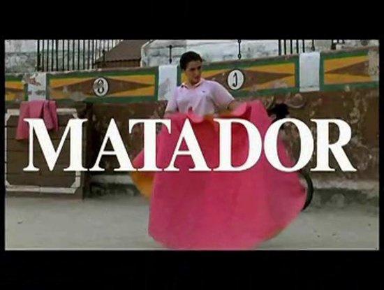 The matador (dvd tweedehands film), CD & DVD, DVD | Action, Enlèvement ou Envoi