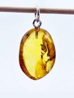 Deux guêpes parasites rares - Pendentif en ambre baltique, Antiek en Kunst