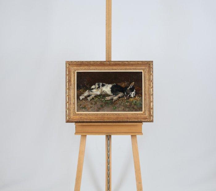 Willem Hendrik van der Nat (1864–1929) - Liggend geitje, Antiquités & Art, Art | Peinture | Classique