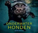 Onderwaterhonden 9789089753908, Livres, Animaux & Animaux domestiques, Seth Casteel, Verzenden