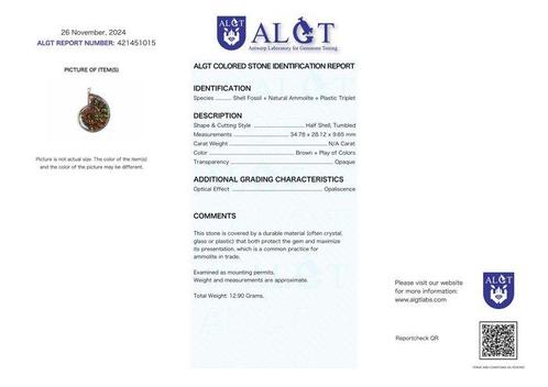 Geen reserve - ALGT-gecertificeerd - Natuurlijke, Verzamelen, Mineralen en Fossielen