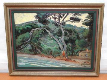 Oleguer Junyent i Sans (1876 – 1956) - El pí de Formentor