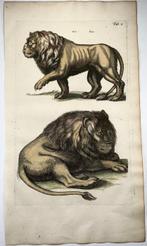 Matthäus Merian (1593-1650) - hand coloured folio engraving, Antiek en Kunst