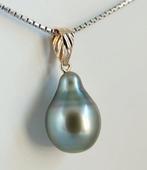 Zonder minimumprijs - Hanger - 18 karaat Geel goud Parel -