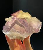 1257 g Paarse FLUORIET met Fantomen uit Cave-In-Rock, Verzamelen