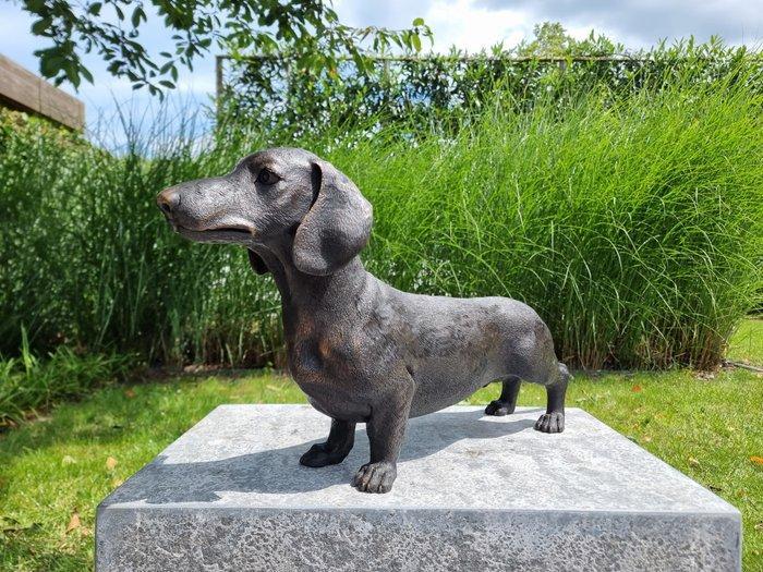 Beeldje - Grote teckel hond - Brons, Antiek en Kunst, Curiosa en Brocante
