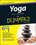 Yoga All-In-One For Dummies 9781119022725 Larry Payne, Livres, Verzenden, Larry Payne