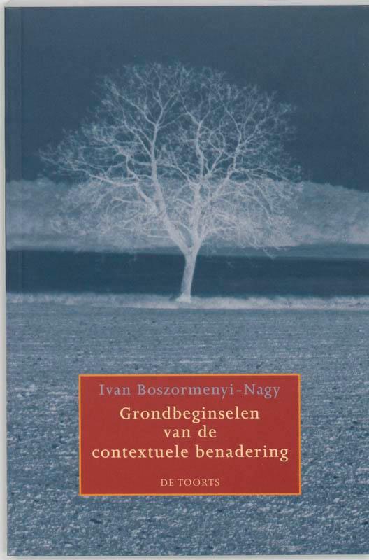 Grondbeginselen van de contextuele benadering 9789060207710, Boeken, Psychologie, Gelezen, Verzenden