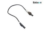 Capteur doxygène BMW F 800 GS 2008-2012 (F800GS 08), Motoren, Verzenden, Nieuw