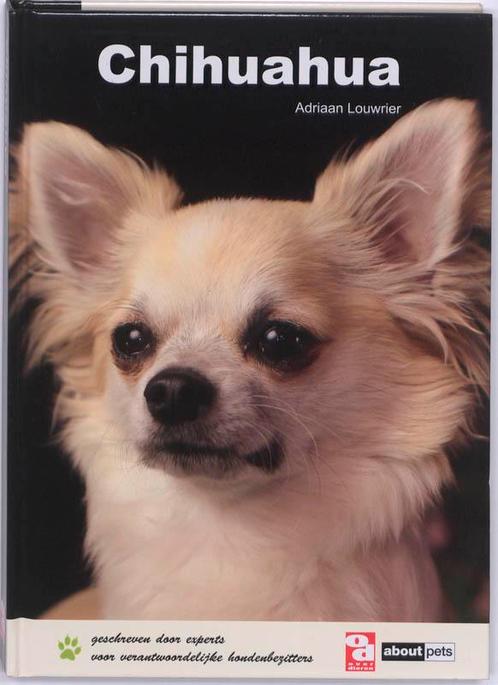 Chihuahua / Over Dieren 9789058216168, Livres, Animaux & Animaux domestiques, Envoi