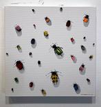 Pablo Fernandez Pujol (Winner of the Paul Ricard Artprice) -