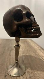 schedel Schedel op een standaard - Craneun - 28 cm - 12 cm -, Antiek en Kunst