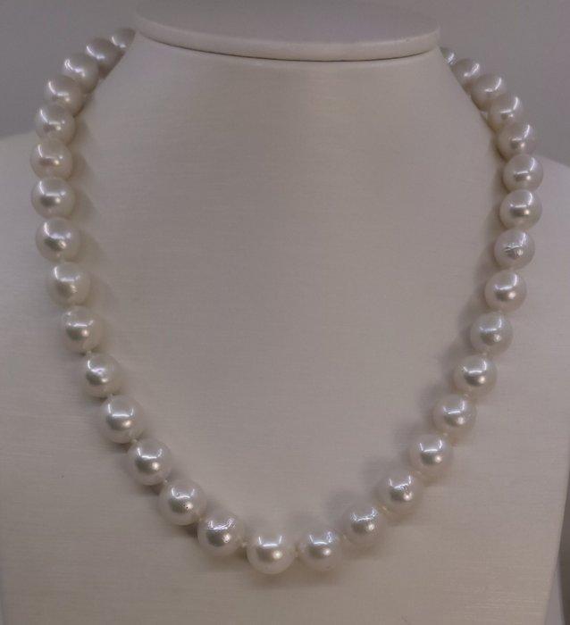 Sans Prix de Réserve - Collier Perles Edison blanches 9x11,5, Handtassen en Accessoires, Kettingen