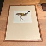 Kees (Cornelis) Timmer (1903-1978) - Struisvogel