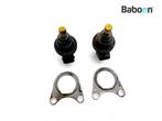 Injector BMW R 850 R 1994-2001 (R850R 94), Motoren, Verzenden, Gebruikt
