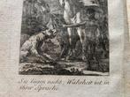 Gottfried Immanuel Wenzel - Entdeckungen über die Sprache