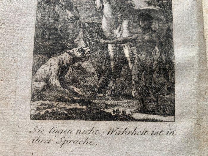 Gottfried Immanuel Wenzel - Entdeckungen über die Sprache, Antiek en Kunst, Antiek | Boeken en Manuscripten