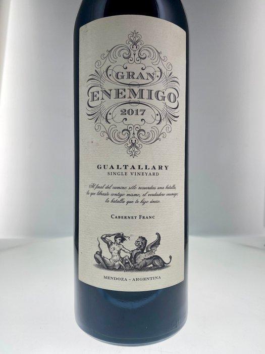 2017 Gran Enemigo - Gualtallary - Fles (0,75 liter), Verzamelen, Wijnen