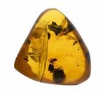 Ambre de Birmanie - Cabochon fossilisé - Arachnid Spider