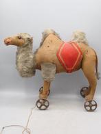 Steiff - Speelgoeddieren Camel - 1900-1910 - Duitsland