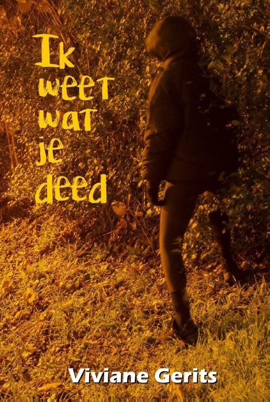 Ik weet wat je deed 9789492551856 Viviane Gerits, Boeken, Thrillers, Gelezen, Verzenden