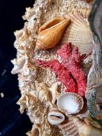 Wandbord - Schelp - e Madreperla 20 cm.