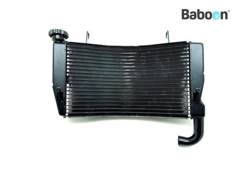 Radiateur Ducati 749 (54840412A), Motoren, Onderdelen | Ducati, Verzenden