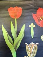 Jung Koch Quentell, tulp 1963 - Schoolkaart - Linnen