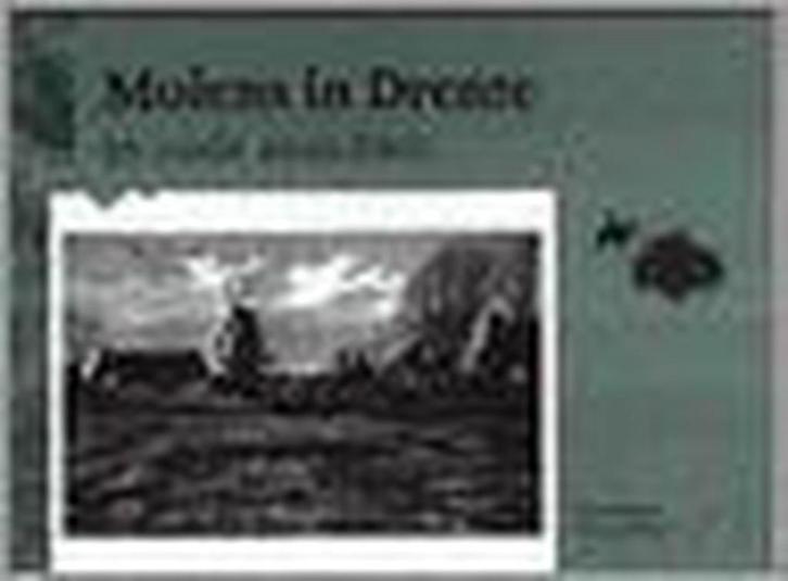 Molens In Drente In Oude Ansichten 9789028800373 H. Blaauw, Boeken, Reisgidsen, Zo goed als nieuw, Verzenden