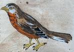 Conrad Gesner - Vogelbuch - 1598
