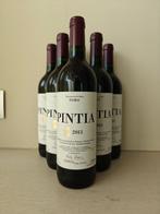 2013 Tempos Vega Sicilia, Pintia - Toro - 6 Bouteilles (0,75, Nieuw