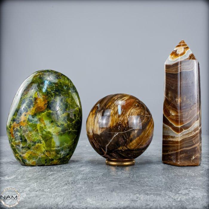 Aarding en groei – Groene opaal, versteend hout en, Verzamelen, Mineralen en Fossielen