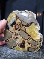 Septaria XXL, sculpture Septarie - Hauteur : 145 mm -