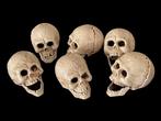Decoratief ornament (6) - Europa - Set van 6 doodskoppen, Antiek en Kunst, Curiosa en Brocante