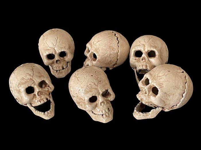 Decoratief ornament (6) - Europa - Set van 6 doodskoppen, Antiek en Kunst, Curiosa en Brocante