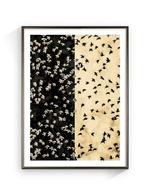 Jorge Omeñaca (1981) - Birds & Birds