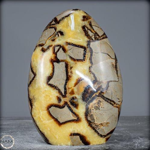 Natuurlijke septarie van eerste kwaliteit Vrije vorm- 886.86, Verzamelen, Mineralen en Fossielen