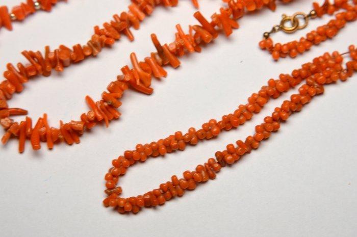 Koraal - Italië Sardinië Rode koraal - Lot van 3 stuks -, Collections, Minéraux & Fossiles