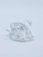 Figure - Swarovski - Zwaan (Boxed + certificate) - Cristal, Antiek en Kunst