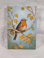 G. Morello (XX-XXI) - Pettirosso