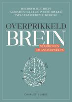 Overprikkeld brein 9789043924887, Boeken, Psychologie, Gelezen, Verzenden, Charlotte Labee