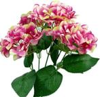 Hortensia Hydrangea Groot Pink Bicolor Zijdenbloem New 49 cm, Nieuw