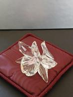 Swarovski - Michael Stamey - Figuur - Orchidee leicht pink