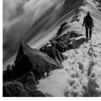 Alex Tcacenco - Black Nature #86 Hollow Sky, Antiek en Kunst