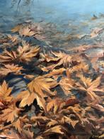 Emre Kinali - Orange leaves, Antiek en Kunst