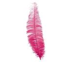 Roze Struisvogelveren 40cm 12st, Nieuw, Verzenden
