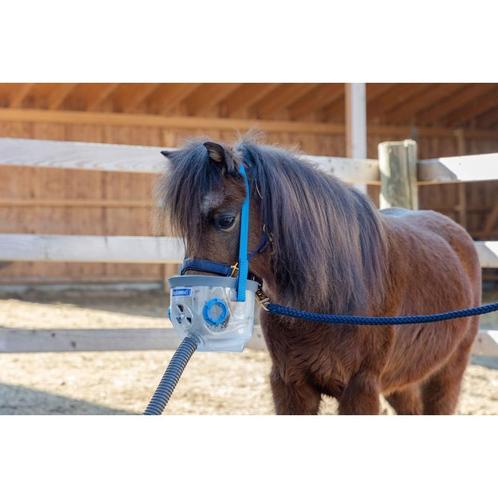 Masque d’inhalation avec accessoires pour shetty/foal -, Doe-het-zelf en Bouw, Adembescherming